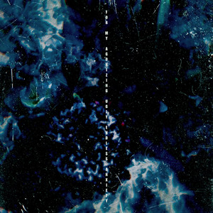 张筱雨全身光一丝不
