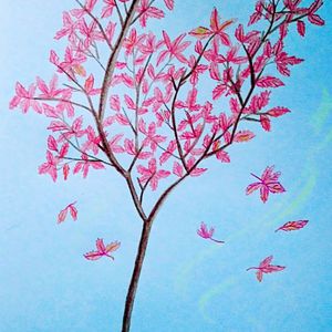 张筱雨全身光一丝不
